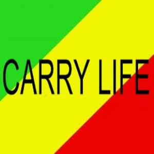 Awatar dla Carry Life