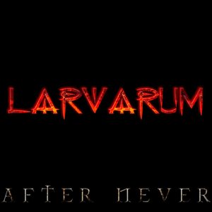 'After Never' için resim