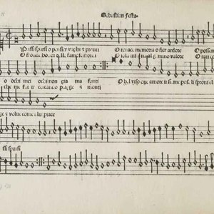 Аватар для Sebastiano Festa