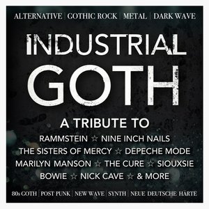 Industrial Goth : Alternative, Gothic Rock, Metal, Dark Wave, 80s Goth, Post Punk, New Wave, Synth, Neue Deutsche Harte
