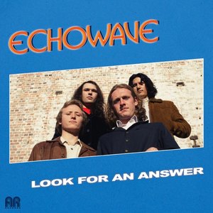 Look For An Answer