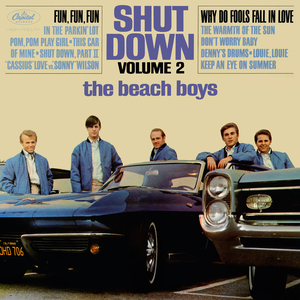 Shut Down, Volume 2 cover