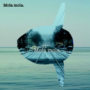 Mola mola 的头像