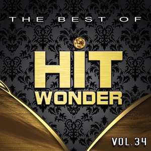 Hit Wonder: The Best Of, Vol. 34