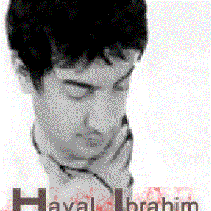 Haval Ibrahim 的头像