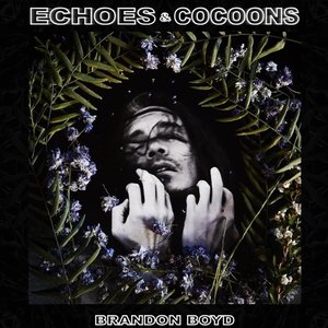 Echoes And Cocoons