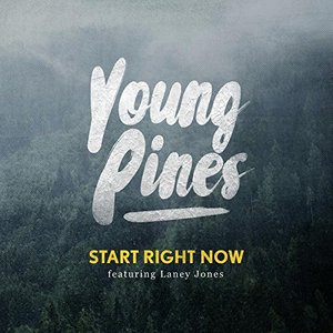 Start Right Now (feat. Laney Jones)