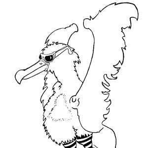 Hookie Bird 的头像