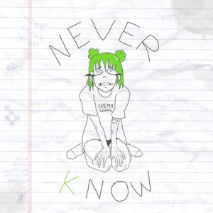 Never Know (Acoustic Version)