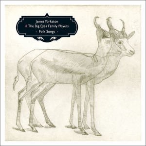 James Yorkston and the Big Eyes Family Players 的头像