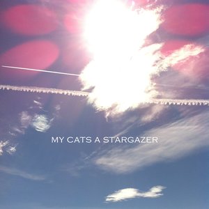 My Cats a Stargazer 的头像
