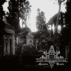 To Where No Pathway Goes - Single
