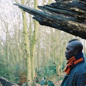 Sola Akingbola 的头像