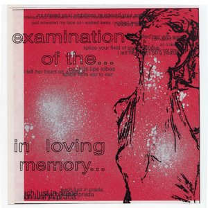 Examination Of The... / In Loving Memory...