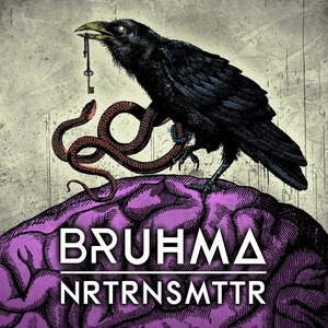 Nrtrnsmttr