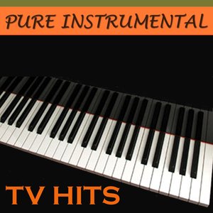 Pure Instrumental: TV Hits