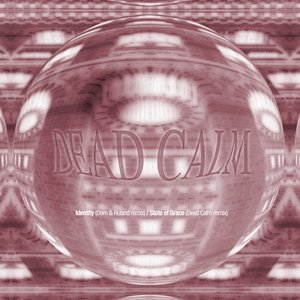 Identity (Dom & Roland Remix) / State Of Grace (Remix)