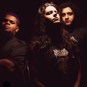 Nuclear Screams 的头像