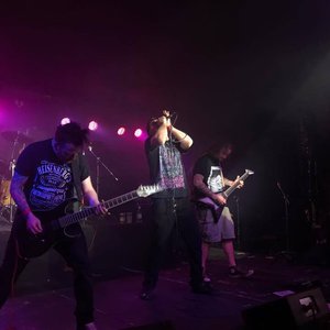 Kingdom in Kaos 的头像
