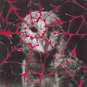 Desvelo, Lluvia Fina