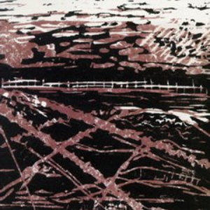 Slate Branches cover