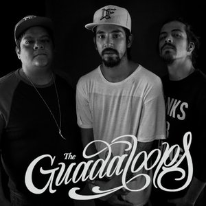 The Guadaloops Profile Picture