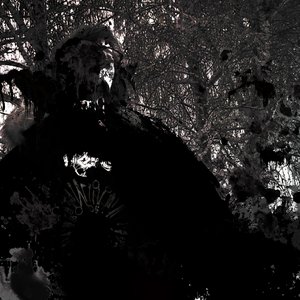Avatar for Øbscurantist