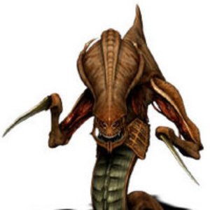 Avatar de Anal Zerg