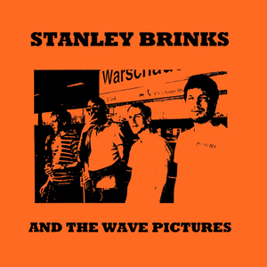 Stanley Brinks and The Wave Pictures cover