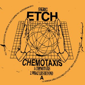 Chemotaxis