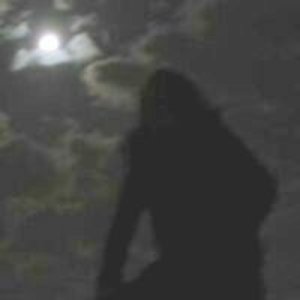 Mood fragments 的头像