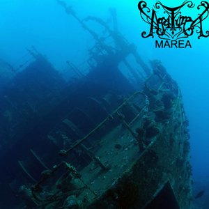 Marea