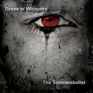 The Somnambulist