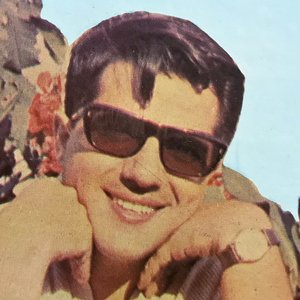 Pompeo Stillo & The Companions 的头像
