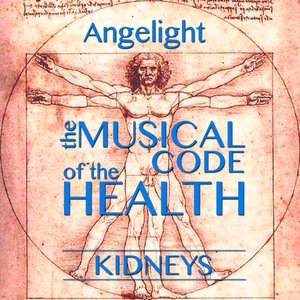 The Musical Code of the Health - Kidneys