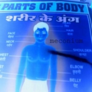 Image for 'parts of body'