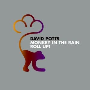 Monkey in the Rain