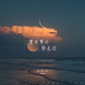 梦里梦外都是你 (女声版) - Single