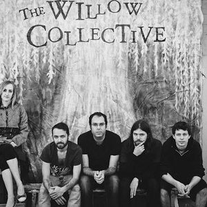 The Willow Collective 的头像