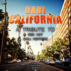 Ameritz Tribute Tracks 的头像