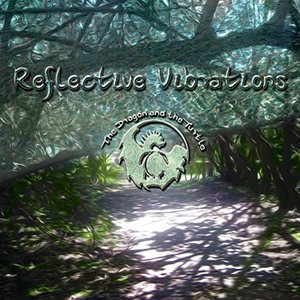 Reflective Vibrations