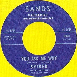 Spider & the Mustangs 的头像