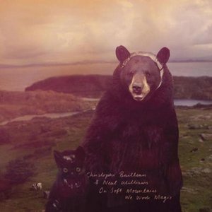 Neal Williams 的头像