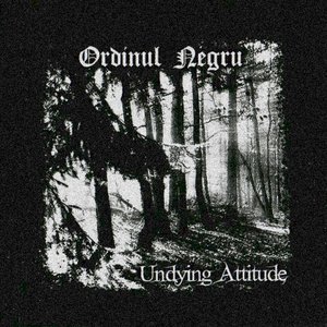 Undying Attitude