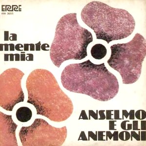 Avatar für Anselmo e gli anemoni