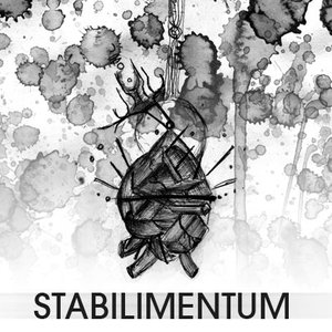 Stabilimentum 的头像