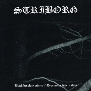 Black Desolate Winter / Depressive Hibernation