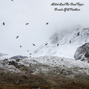 Mitch And The Bad Trips 的头像