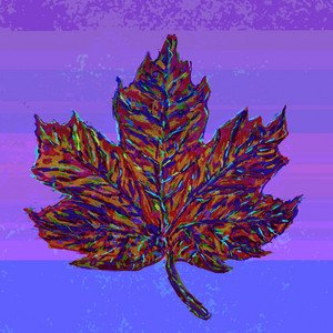 Maple Bumps 2