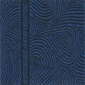 Vagaciones II cover